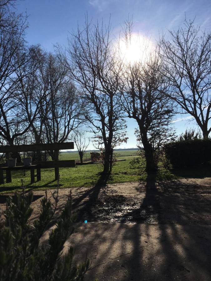 B&B Boerderij De Tempel Greonterp Dış mekan fotoğraf
